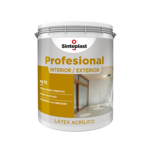 PROFESIONAL INTERIOR / EXTERIOR